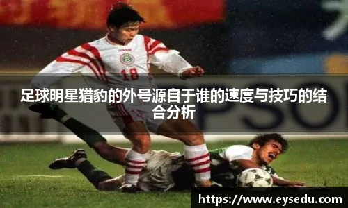 足球明星猎豹的外号源自于谁的速度与技巧的结合分析